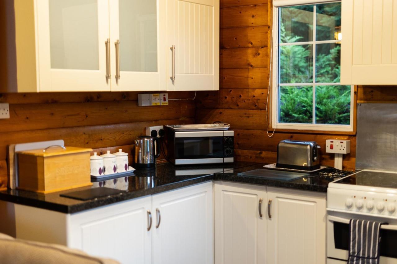 Mountain View Log Cabin In Snowdonia Nr Coed Y Brenin Tanygrisiau Exteriör bild