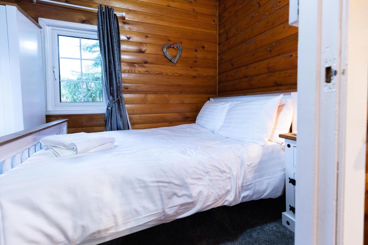 Mountain View Log Cabin In Snowdonia Nr Coed Y Brenin Tanygrisiau Exteriör bild