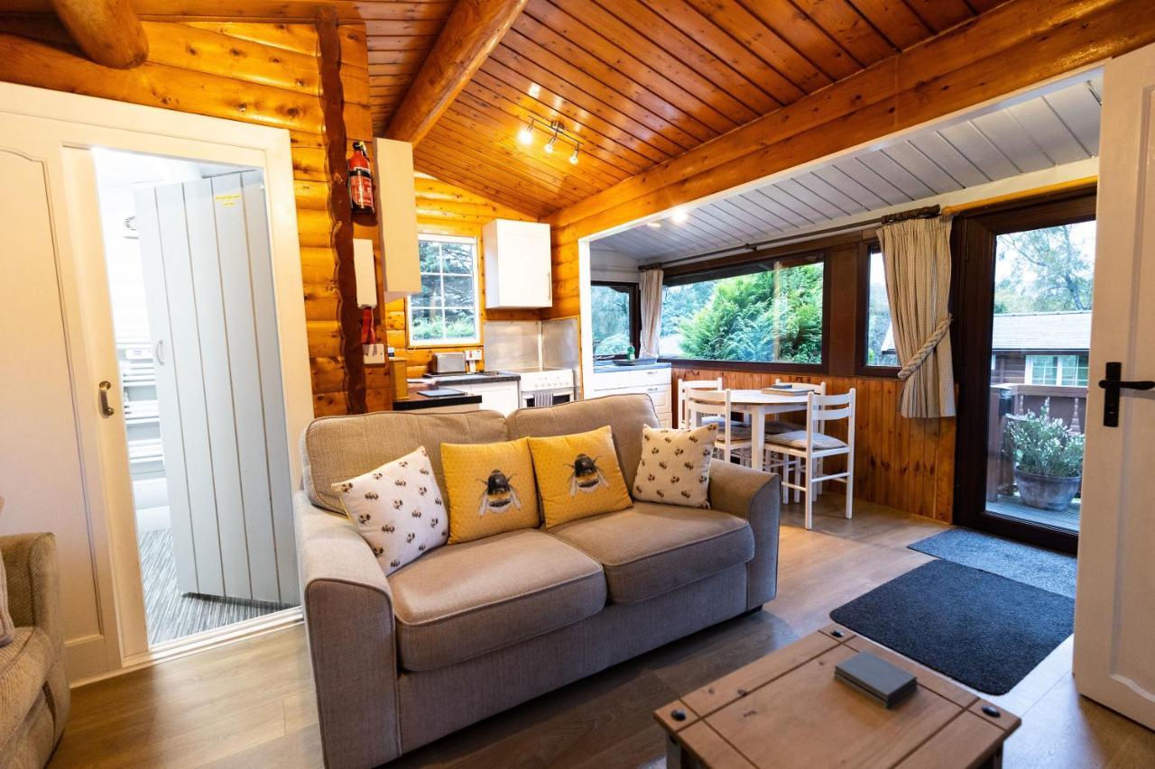 Mountain View Log Cabin In Snowdonia Nr Coed Y Brenin Tanygrisiau Exteriör bild