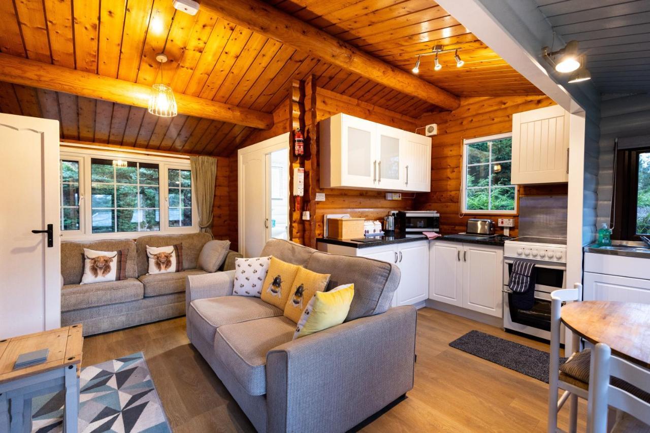 Mountain View Log Cabin In Snowdonia Nr Coed Y Brenin Tanygrisiau Exteriör bild